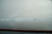
DSC00018